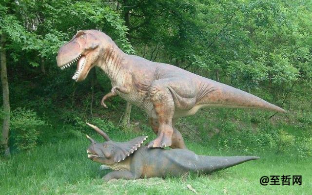 什么恐龙吃草也吃肉(中国发现了一只活恐龙)
